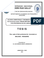 Tesis Trucha PDF