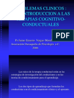 Terapia Cognitivo Conductual 2