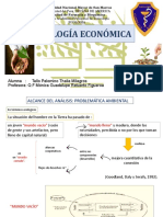 Ecologia Económica .Thalia Tello Unmsm