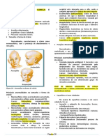 2 - Resumo Eduardo - Semiologia Da Cabeça e Pescoço