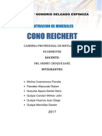 Informe Cono Reichert