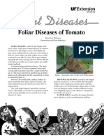 Foliar Diseases of Tomato