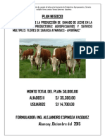 Plan Negocio Rural Final