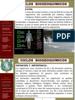 05 Ciclos Biogeoquimicos