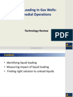 Liquid Loading in Gas Wells Remedial Operations PDF