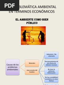 La Problemática Ambiental en Términos Económicos