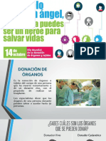 Donacion de Organos