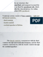 Neuroanatomia Part 2