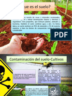 Contaminación Suelo Tratamientos Cultivos