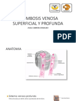 Trombosis Venosa Superficial y Profunda