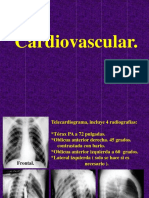 Conferencia de Cardiovascular.