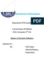 Department of Economics: National University of Modern Languages