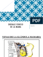 Drenaje Venoso de La Mama