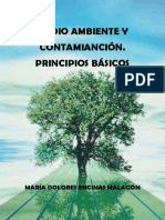 Medio Ambiente y Contaminación. Principios Básicos PDF