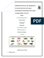 Plantas Medicinales1