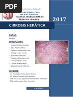 Cirrosis Hepática