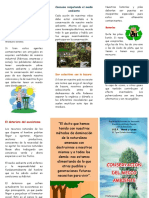 Triptico Conservacion Del Medio Ambiente