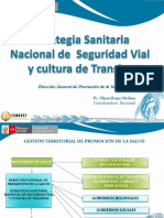 Estrategia Sanitaria de Seguridad Vial y Cultura de Transito PDF