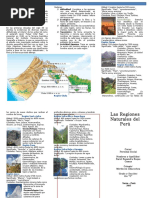 Triptico 8 Regiones