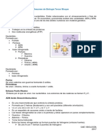 Resumen de Biología Tercer Bloque