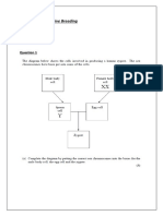 Genetics and Selective Breeding Worksheet: Fatma Zorlu Notes