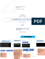 Mapa Conceptual Polo