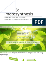 Photosynthesis 2016