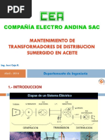 Mantenimiento de Transformadores de Distribución Sumergido en Aceite