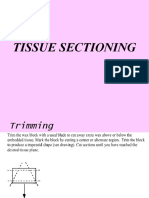 Tissue Sectioning &amp Cutting