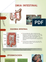 Isquemia Mesenterica Expo