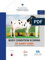 BODY CONDITION SCORING OF DAIRY COWS Books PDF