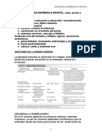 Tema A: Anatomía Materna e Infantil en Lactancia Materna