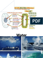 Properties of Water