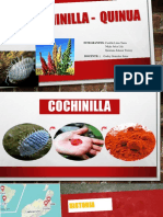 Exposicion de Cochinilla Final