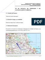 Eia Cementer PDF