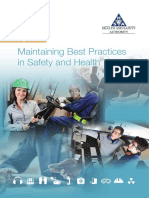 PDF HSA Ireland Best Practices in Safety Guide