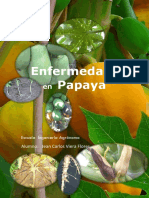 Enfermedades en Papaya PDF