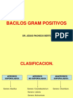 Bacilos Gram Positivos 1