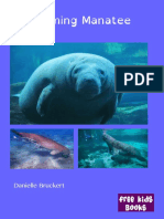 A Calming Manatee: Danielle Bruckert