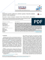 Membrane Protein Synthesis in Cell-Free Systems: From Bio-Mimetic Systems To Bio-Membranes