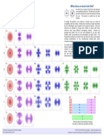 Orbitals PDF