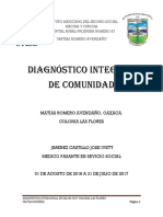 Diagnostico de Comunidad Colonia Las Flores