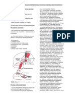 Capítulo 45 Organización Del Sistema Nervioso Funciones Sinapsis y Neurotransmisores