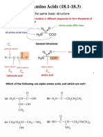 Amino Acids Notes