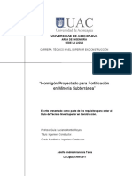 Informe de Práctica - Adolfo Arancibia - TNS Construción PDF