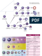 Histología