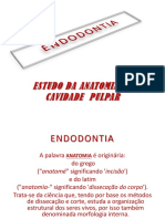 Endodontia - Anatomia Da Cavidade Pulpar