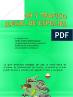 Invasion y Trafico Ilegal de Especies