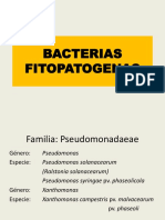 BACTERIAS