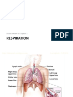 Science F3 Chap 1-Respiration